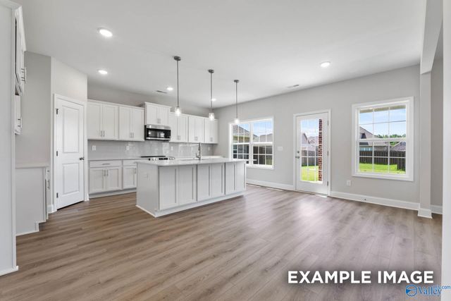 20916 English Ivy Lane, Athens, AL 35611