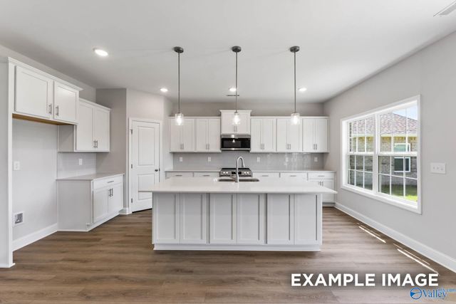20916 English Ivy Lane, Athens, AL 35611