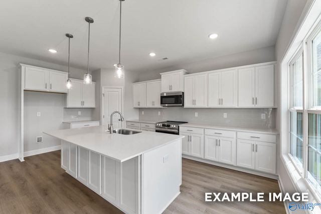 20916 English Ivy Lane, Athens, AL 35611