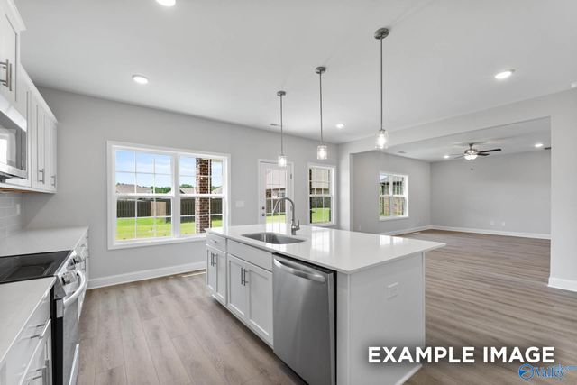 20916 English Ivy Lane, Athens, AL 35611