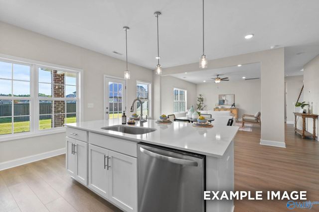 20916 English Ivy Lane, Athens, AL 35611