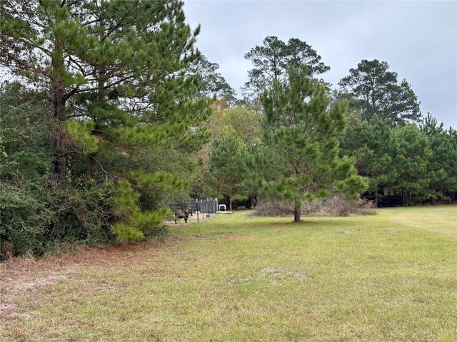 707 Bill Rasbeary Road, Woodlake, TX 75865