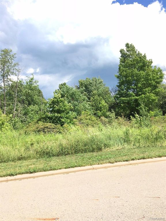 0000 Beecher Road, Flint Charter Township, MI 48532