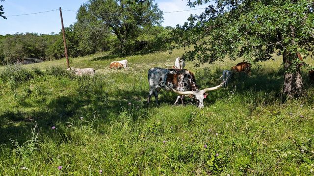156 PR 3626, Springtown, TX 76082