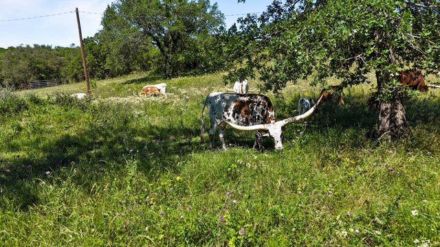 156 PR 3626, Springtown, TX 76082