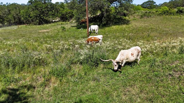 156 PR 3626, Springtown, TX 76082