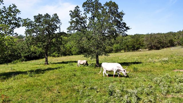 156 PR 3626, Springtown, TX 76082