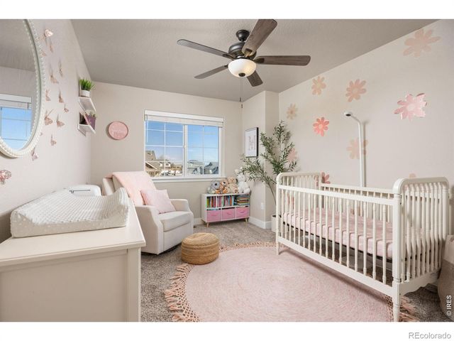 4316 Moose Street, Johnstown, CO 80534