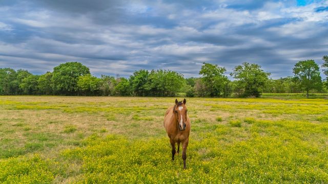 891 VZ County Road 3421, Wills Point, TX 75169