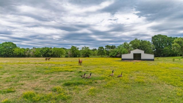 891 VZ County Road 3421, Wills Point, TX 75169
