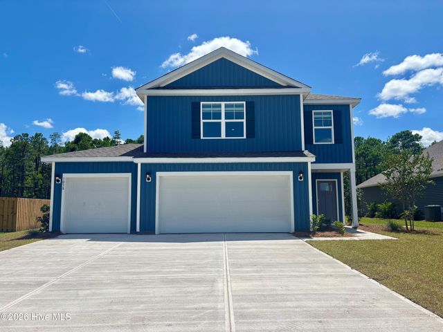 1038 Pampas Grass Drive Lot 332, Castle Hayne, NC 28429