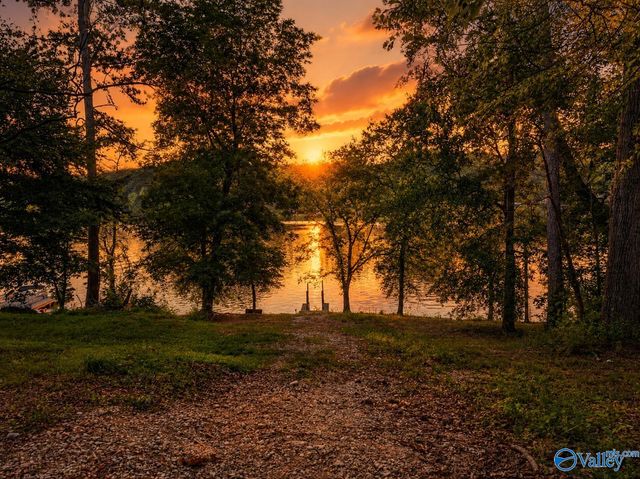 1416 Leota Lake Drive N, Southside, AL 35907