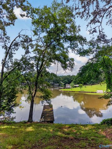 1416 Leota Lake Drive N, Southside, AL 35907