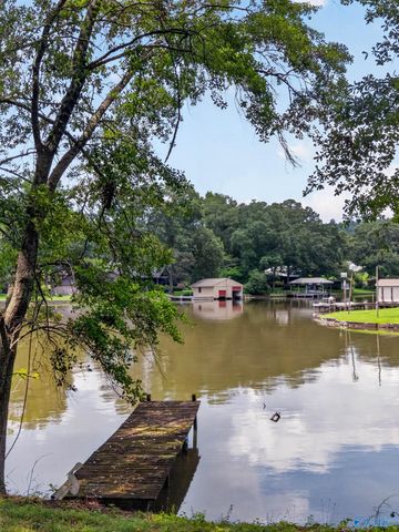 1416 Leota Lake Drive N, Southside, AL 35907