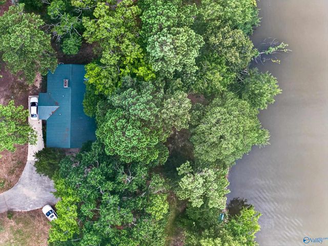 1416 Leota Lake Drive N, Southside, AL 35907
