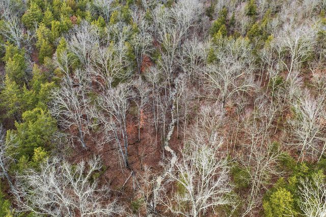 1248 Burke Road, Lawrenceburg, KY 40342