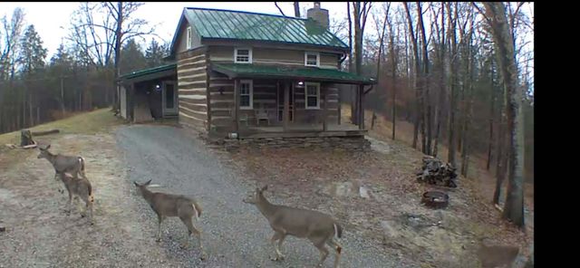 1248 Burke Road, Lawrenceburg, KY 40342