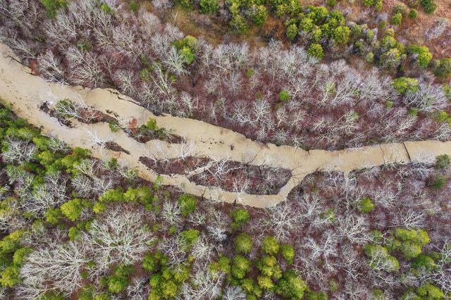 1248 Burke Road, Lawrenceburg, KY 40342