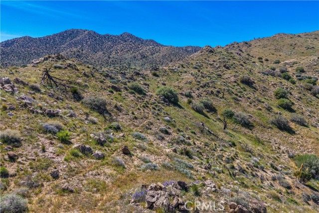 58215 Santa Barbara, Yucca Valley, CA 92284