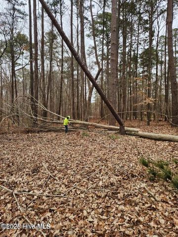 146 Tranquility Lane, Hertford, NC 27944