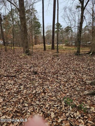 146 Tranquility Lane, Hertford, NC 27944