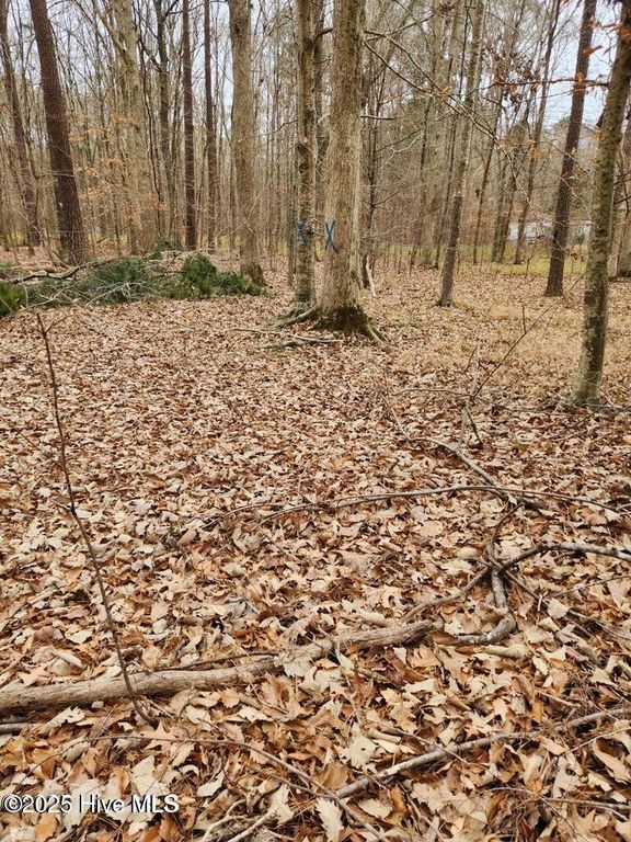 146 Tranquility Lane, Hertford, NC 27944