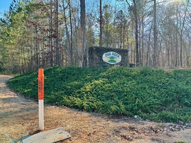 Lot 16 Oak Ridge Drive, Waverly Hall, GA 31831