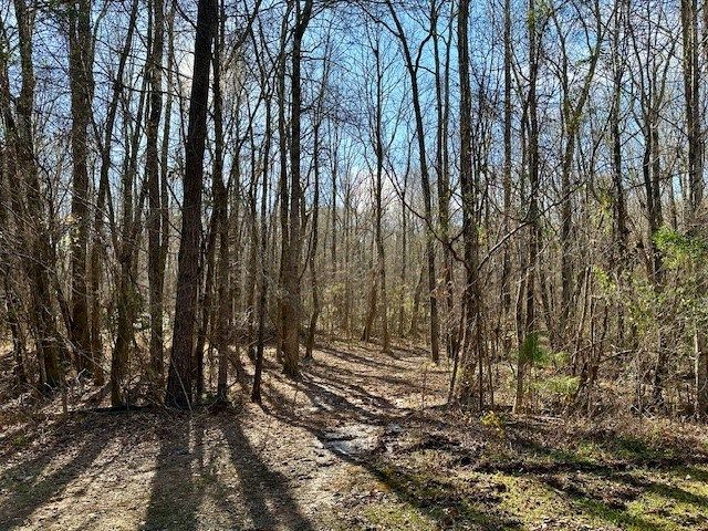 Lot 16 Oak Ridge Drive, Waverly Hall, GA 31831