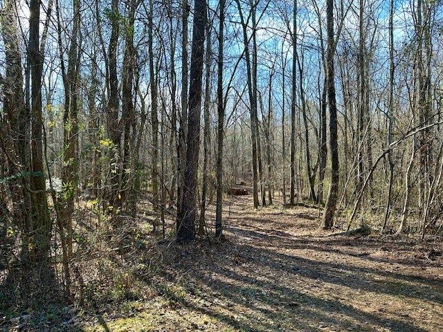 Lot 16 Oak Ridge Drive, Waverly Hall, GA 31831