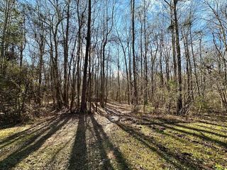 Lot 16 Oak Ridge Drive, Waverly Hall, GA 31831