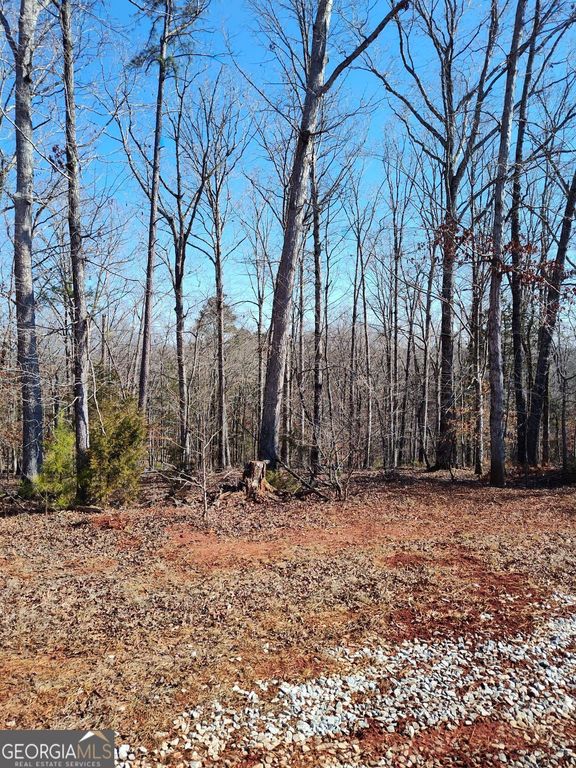 1798 Pearl Mill Road, Elberton, GA 30635 — photo 4