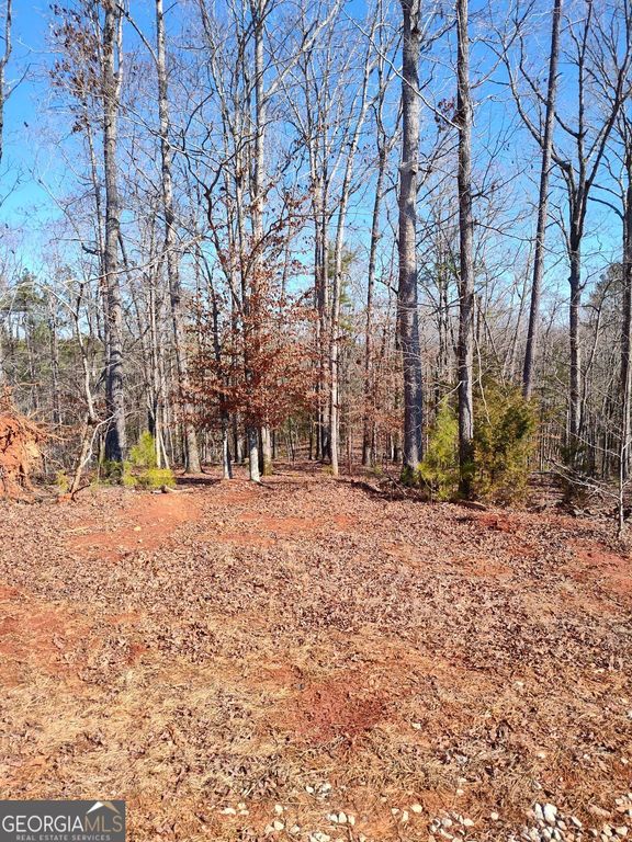 1798 Pearl Mill Road, Elberton, GA 30635 — photo 5