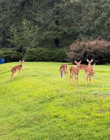 408 W Eucalyptus Street, Village Mills, TX 77663