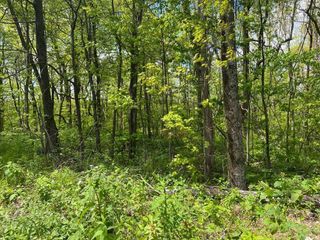 0 Burnt Mountain Cove Road, Jasper, GA 30143