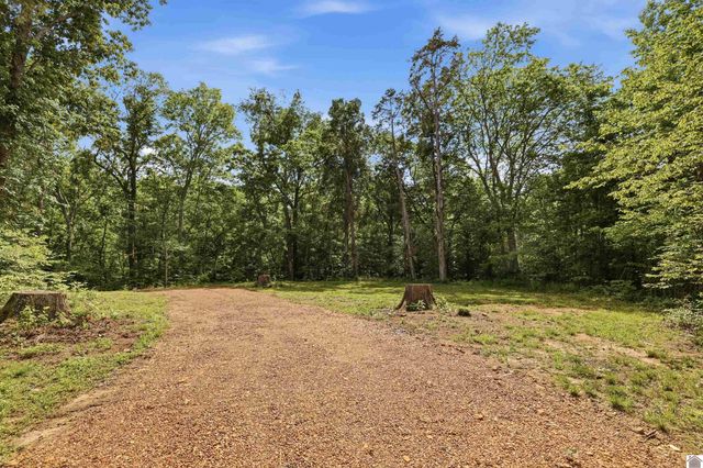 570 Bobcat Trail, Dover, TN 37058