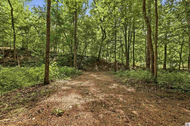 570 Bobcat Trail, Dover, TN 37058