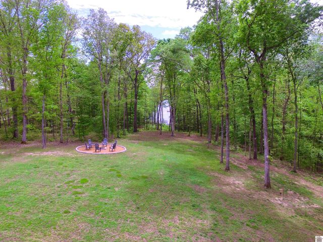 570 Bobcat Trail, Dover, TN 37058