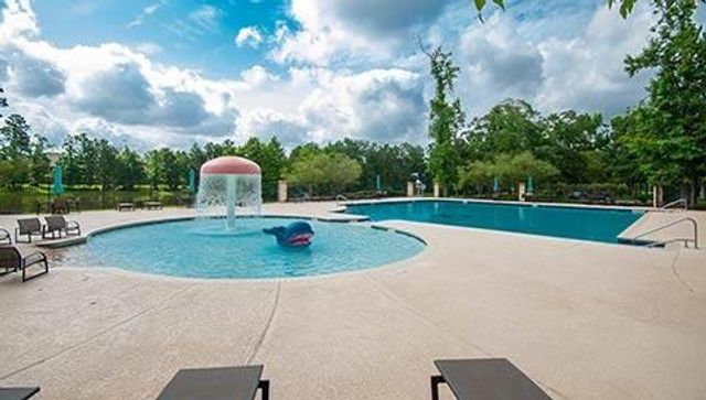 119 Meadow Run Drive, Conroe, TX 77384