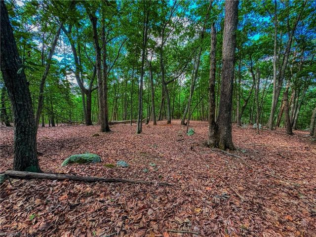 196 Sierra Trace Road, Denton, NC 27239