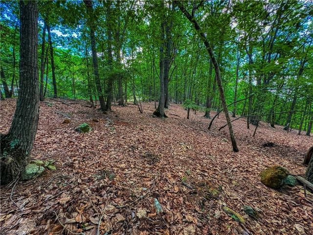 196 Sierra Trace Road, Denton, NC 27239