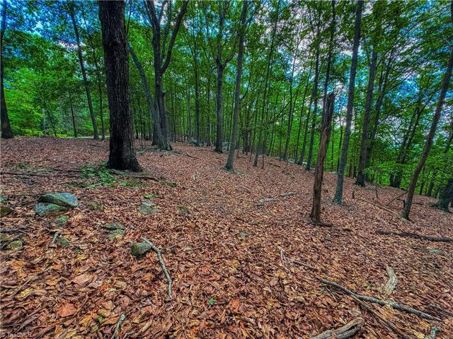 196 Sierra Trace Road, Denton, NC 27239