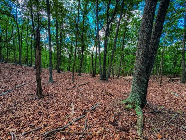 196 Sierra Trace Road, Denton, NC 27239