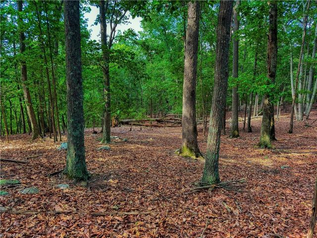 196 Sierra Trace Road, Denton, NC 27239