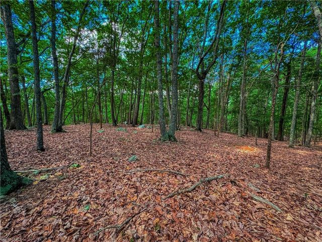 196 Sierra Trace Road, Denton, NC 27239
