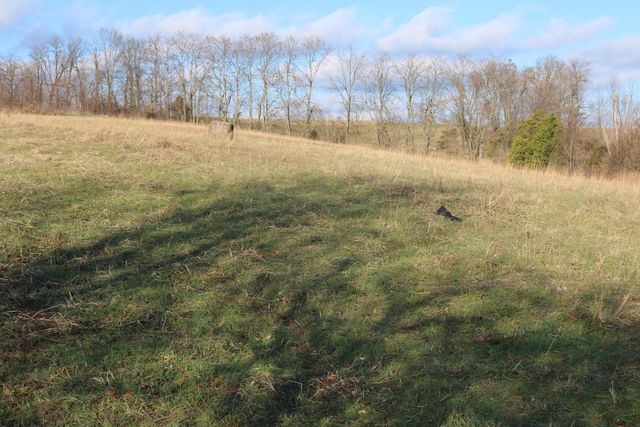 1-X Dixie Highway, Carlisle, KY 40311
