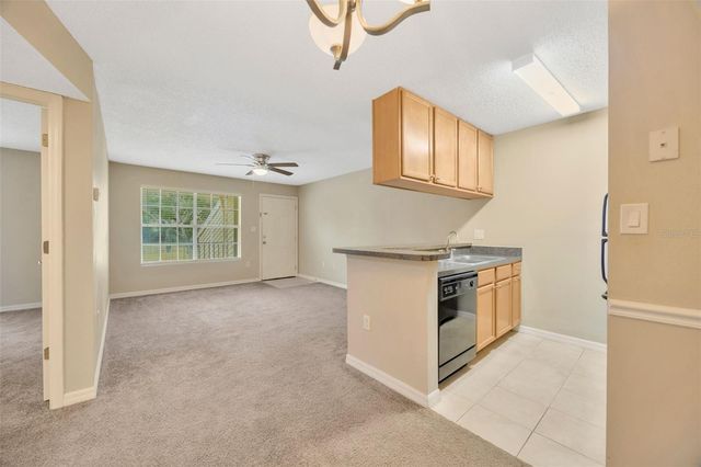 308 LAKE PARSONS GREEN 105, Brandon, FL 33511