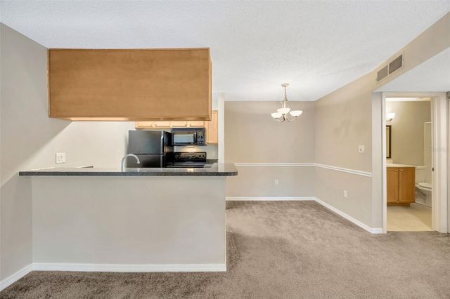 308 LAKE PARSONS GREEN 105, Brandon, FL 33511