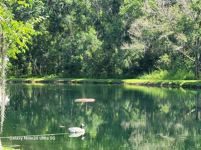 12742 WOOD TRAIL BLVD BOULEVARD, Tampa, FL 33625