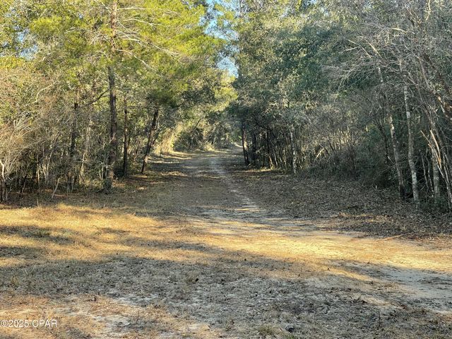 0000 Bent Oaks Road, Chipley, FL 32428