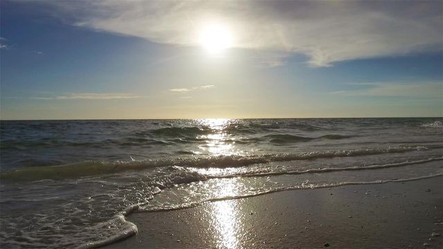 8454 TANAKA DRIVE, Englewood, FL 34224